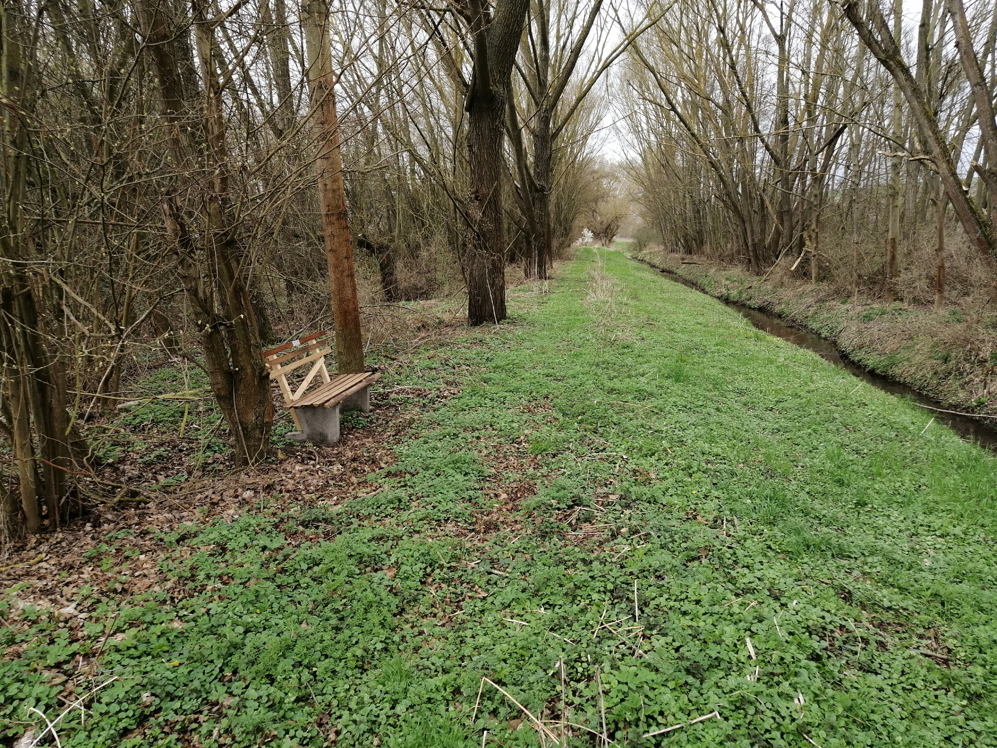 Bank an der „alten“ B80 Richtung Sangerhausen