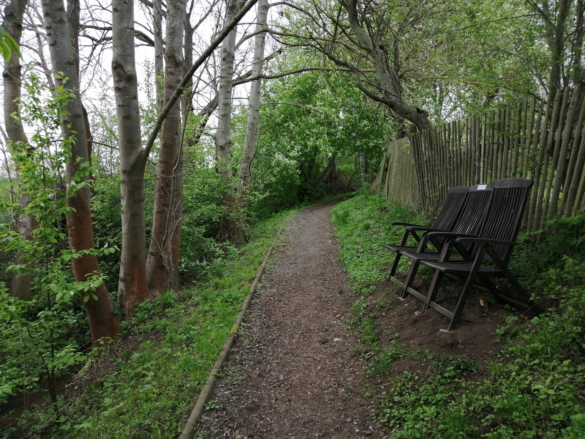 Bank an der Schnerle