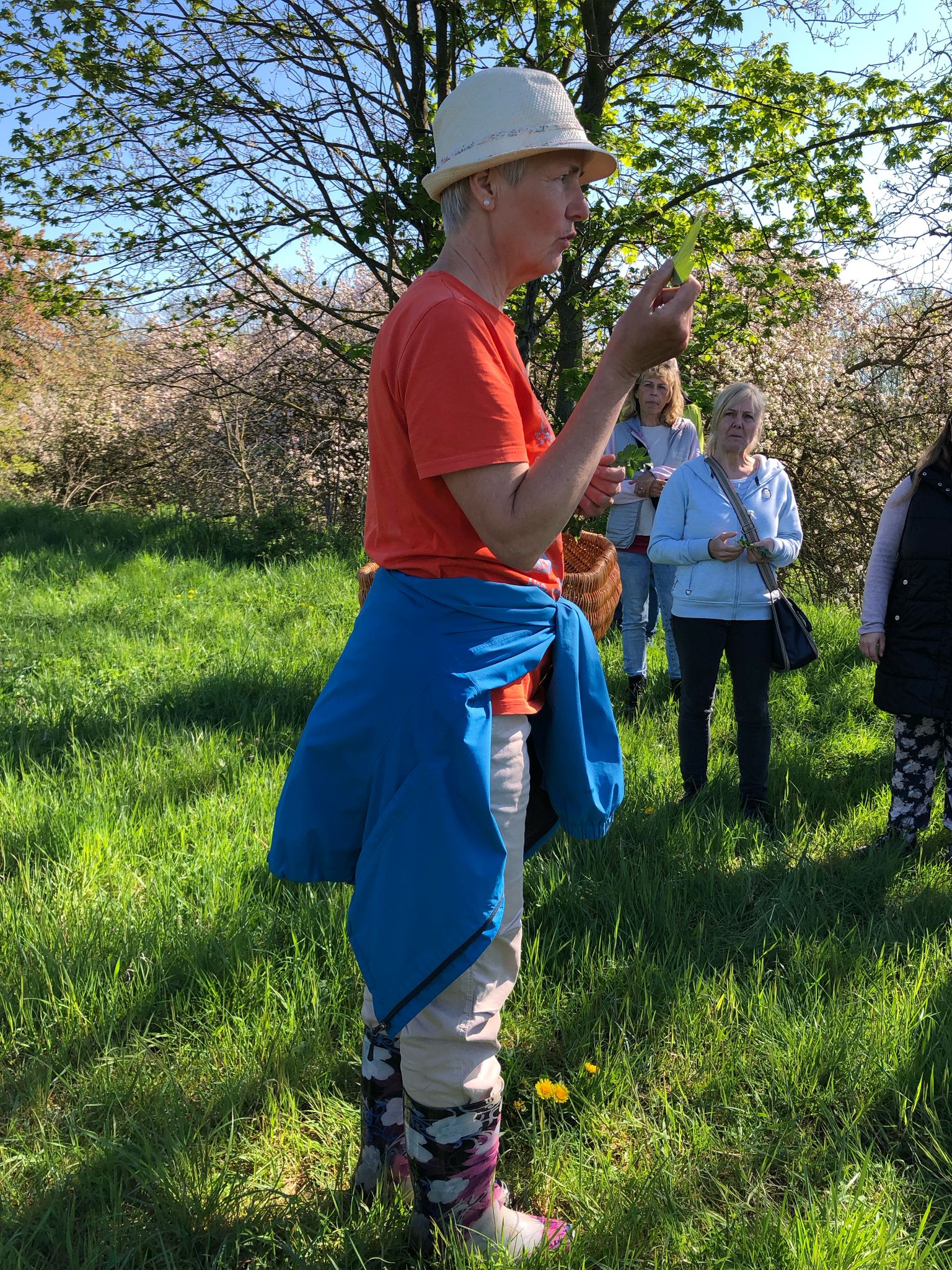 Kraeuterwanderung_2025_1