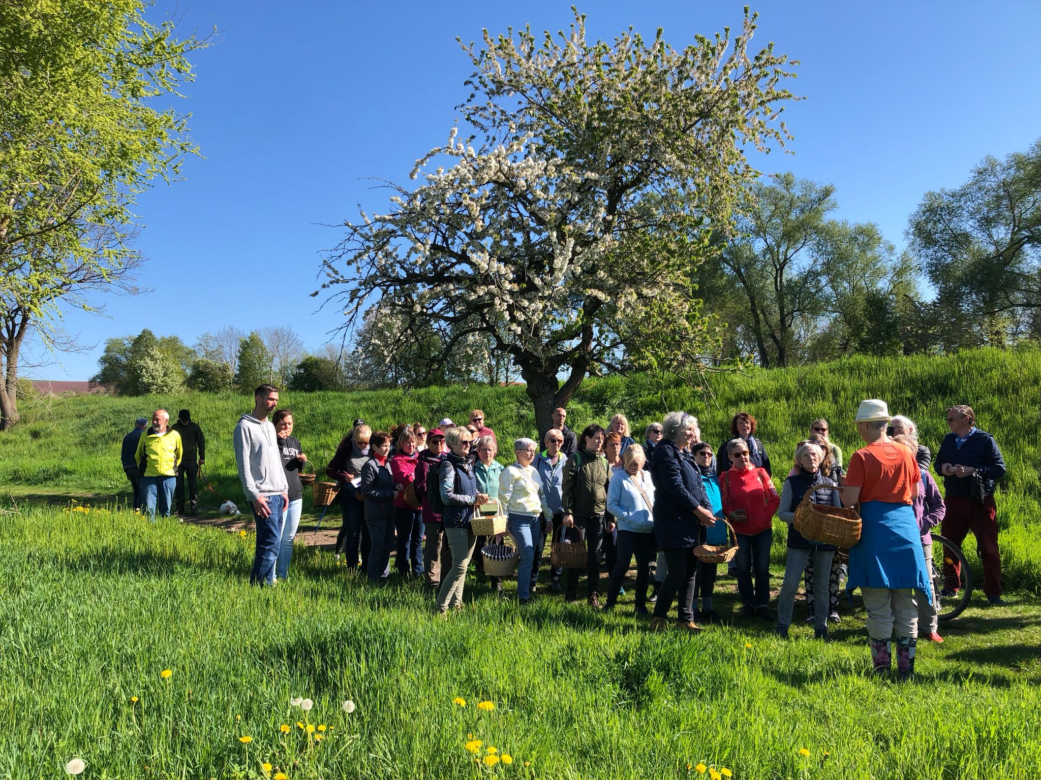 Kraeuterwanderung_2025_2