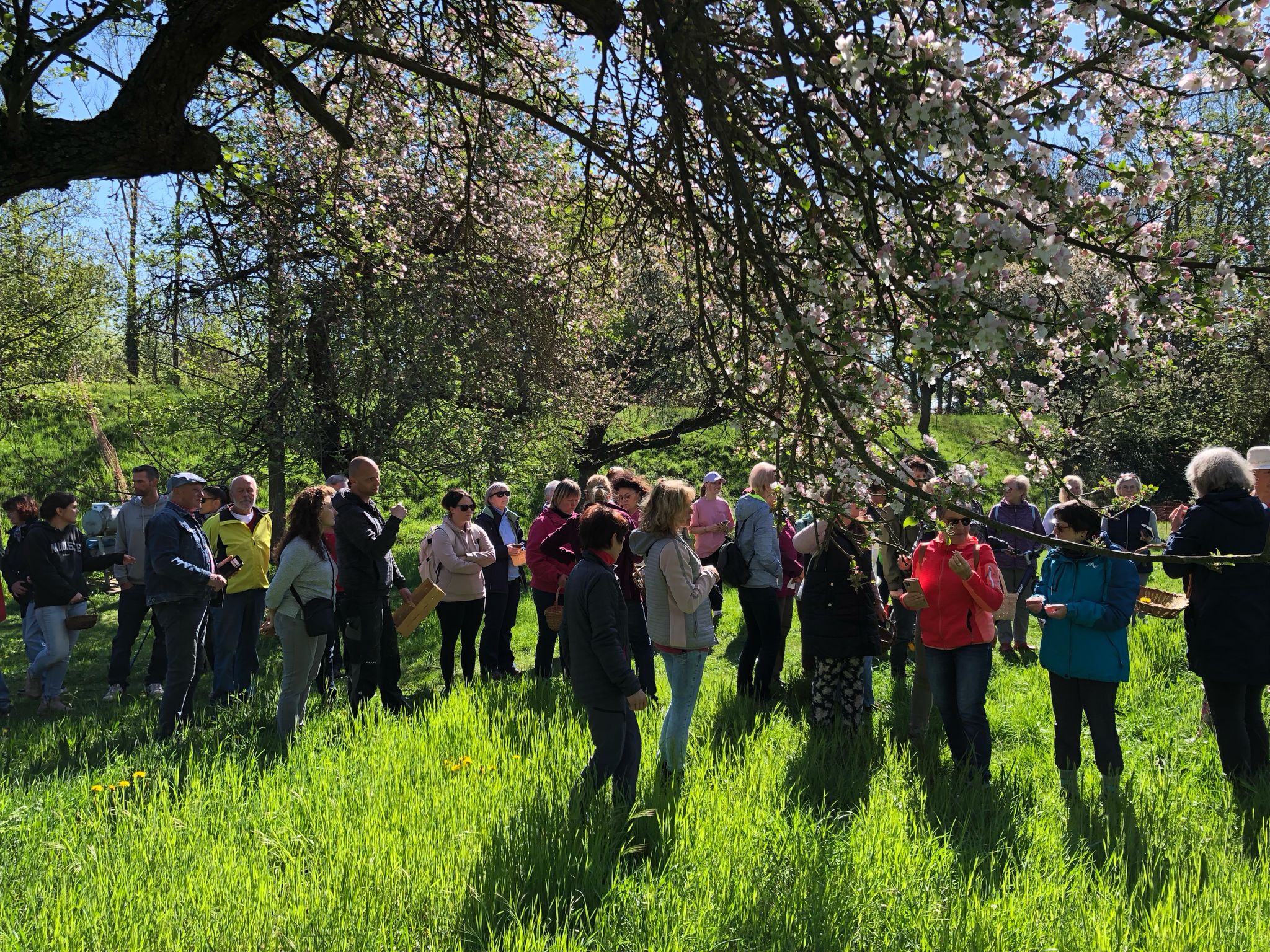 Kraeuterwanderung_2025_3